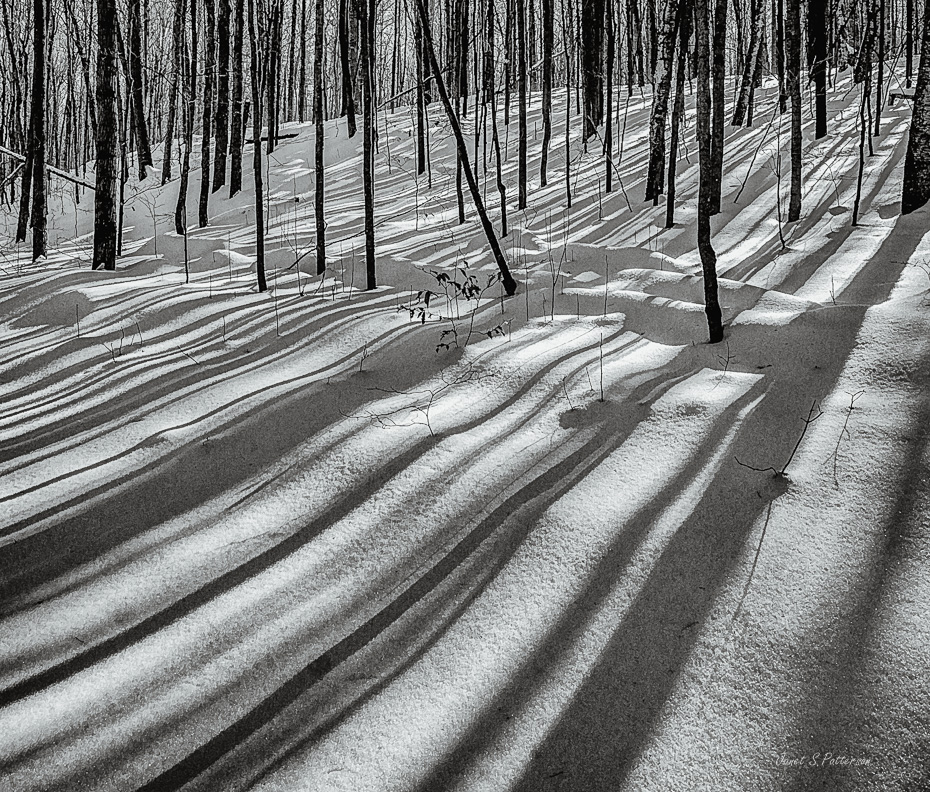 winter, snow, shadows, black and white, landscape
