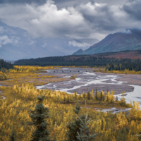 The shot is of a river bed where the water is very low and making trails and patterns on the river bed.  Mountains are the background and to the right. The tops are obscured by storm clouds.  The river bed itself is fringed with bright yellow aspen trees.  Between the yellow trees and the reddish and green slopes of the mountains are lines of dark evergreens making the yellow aspens appear really bright.